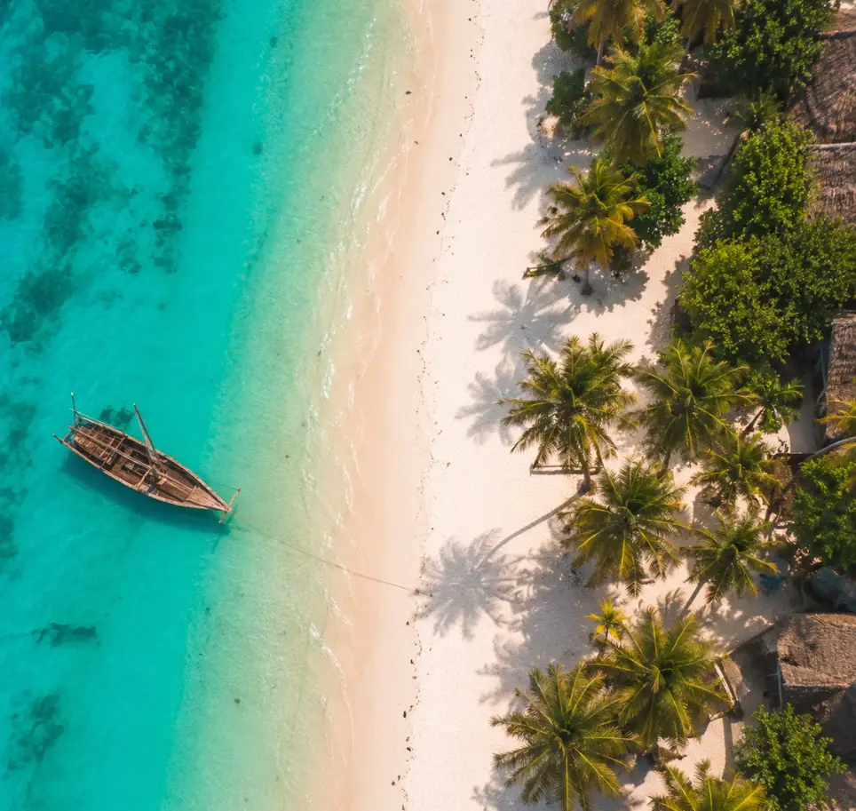 MNS hero section Zanzibar